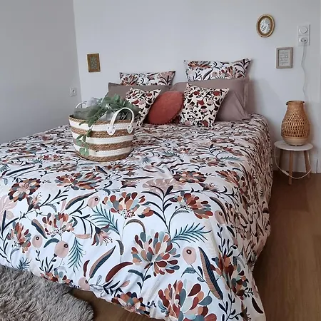 Les Castors Hébergement de vacances *