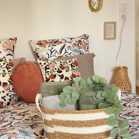 Les Castors * Carcassonne